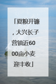 夏粮开镰，大兴长子营镇近6000亩小麦迎丰收