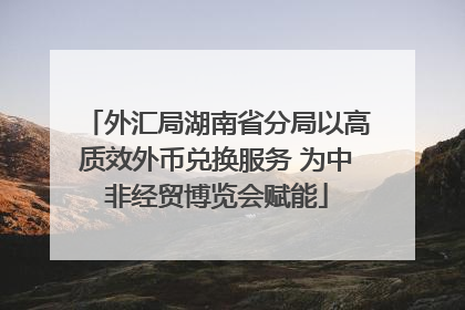 外汇局湖南省分局以高质效外币兑换服务 为中非经贸博览会赋能