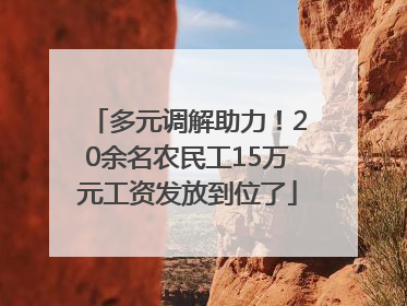 多元调解助力！20余名农民工15万元工资发放到位了