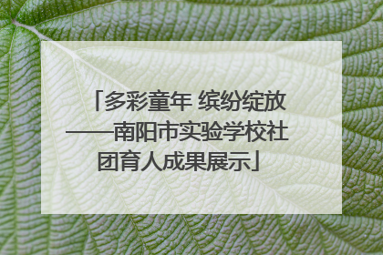 多彩童年 缤纷绽放——南阳市实验学校社团育人成果展示