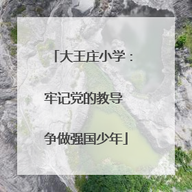 大王庄小学：牢记党的教导 争做强国少年
