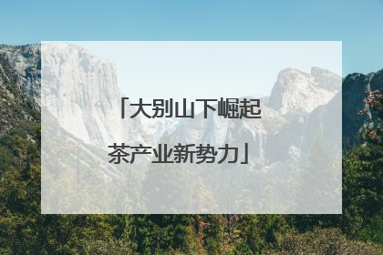 大别山下崛起茶产业新势力