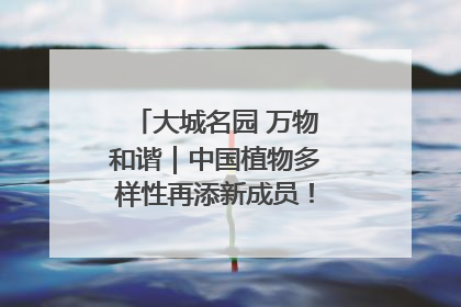 大城名园 万物和谐｜中国植物多样性再添新成员！它只在西藏墨脱