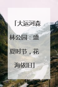大运河森林公园：盛夏时节，花海依旧
