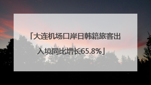 大连机场口岸日韩籍旅客出入境同比增长65.8%
