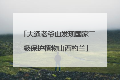大通老爷山发现国家二级保护植物山西杓兰