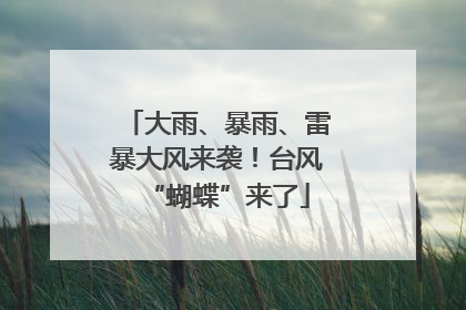 大雨、暴雨、雷暴大风来袭！台风“蝴蝶”来了