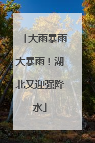 大雨暴雨大暴雨！湖北又迎强降水