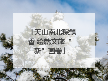 天山南北粽飘香 绘就文旅“新”画卷
