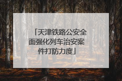 天津铁路公安全面强化列车治安案件打防力度