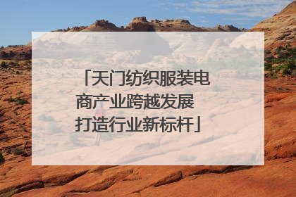 天门纺织服装电商产业跨越发展 打造行业新标杆