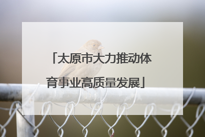 太原市大力推动体育事业高质量发展