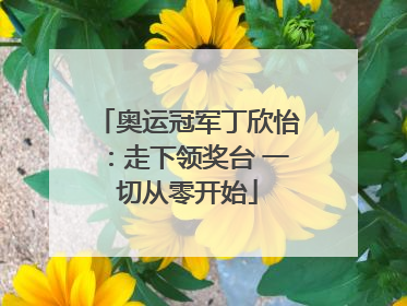 奥运冠军丁欣怡：走下领奖台 一切从零开始