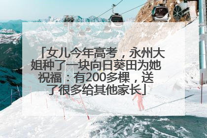 女儿今年高考，永州大姐种了一块向日葵田为她祝福：有200多棵，送了很多给其他家长