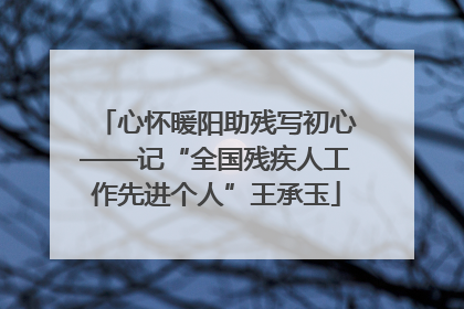 心怀暖阳助残写初心——记“全国残疾人工作先进个人”王承玉