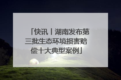 快讯丨湖南发布第三批生态环境损害赔偿十大典型案例