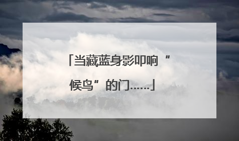 当藏蓝身影叩响“候鸟”的门……