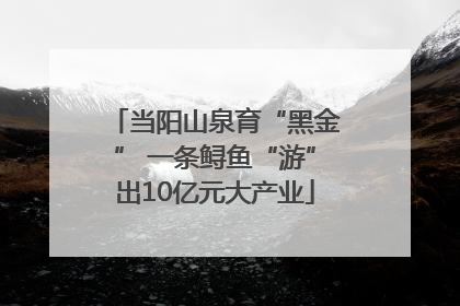 当阳山泉育“黑金” 一条鲟鱼“游”出10亿元大产业