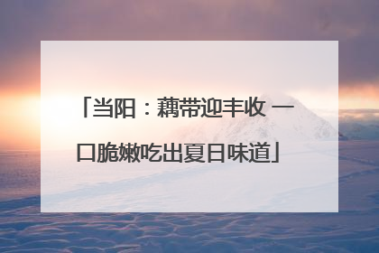 当阳：藕带迎丰收 一口脆嫩吃出夏日味道