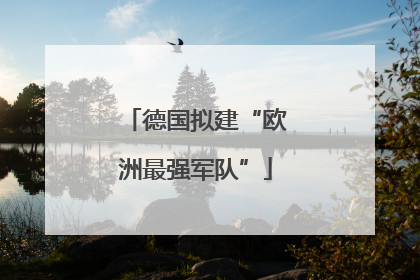 德国拟建“欧洲最强军队”