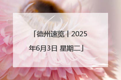 德州速览丨2025年6月3日 星期二