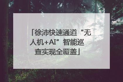 徐沛快速通道“无人机+AI”智能巡查实现全覆盖