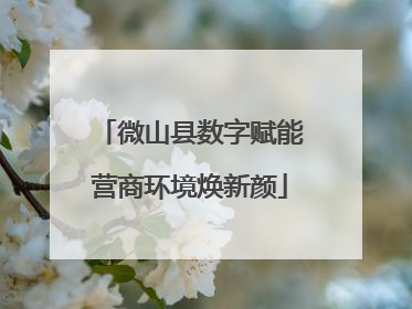 微山县数字赋能营商环境焕新颜