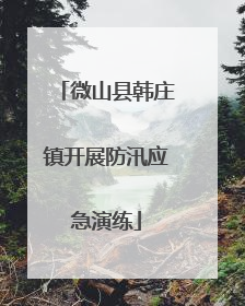 微山县韩庄镇开展防汛应急演练