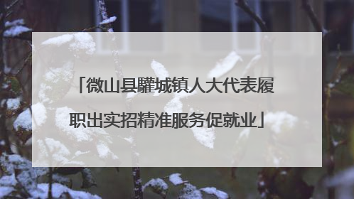 微山县驩城镇人大代表履职出实招精准服务促就业