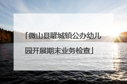 微山县驩城镇公办幼儿园开展期末业务检查
