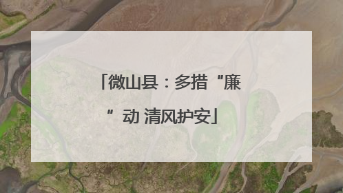 微山县：多措“廉”动 清风护安