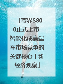 尊界S800正式上市 智能化成高端车市场竞争的关键核心丨新经济观察