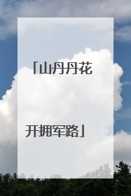山丹丹花开拥军路