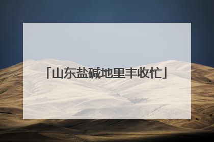 山东盐碱地里丰收忙