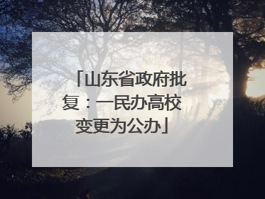 山东省政府批复：一民办高校变更为公办