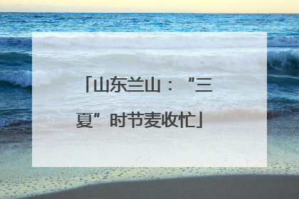 山东兰山：“三夏”时节麦收忙