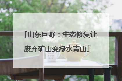 山东巨野：生态修复让废弃矿山变绿水青山