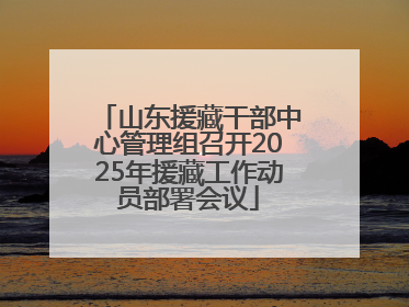 山东援藏干部中心管理组召开2025年援藏工作动员部署会议