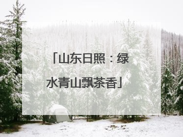 山东日照：绿水青山飘茶香