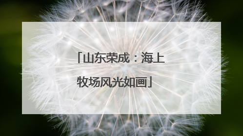 山东荣成：海上牧场风光如画
