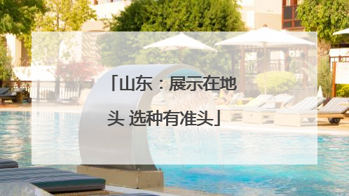 山东：展示在地头 选种有准头