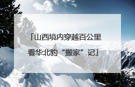 山西境内穿越百公里 看华北豹“搬家”记
