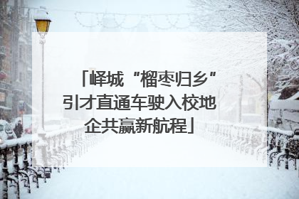 峄城“榴枣归乡”引才直通车驶入校地企共赢新航程