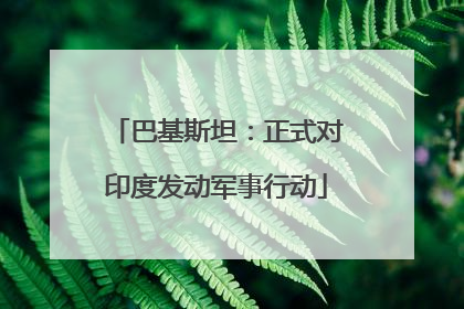 巴基斯坦：正式对印度发动军事行动
