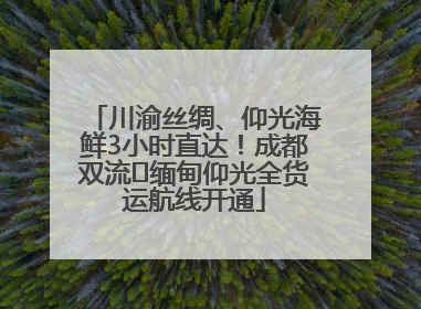 川渝丝绸、仰光海鲜3小时直达！成都双流⇌缅甸仰光全货运航线开通