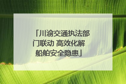 川渝交通执法部门联动 高效化解船舶安全隐患