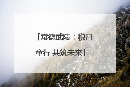 常德武陵：税月童行 共筑未来