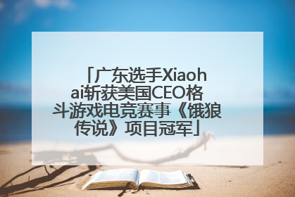 广东选手Xiaohai斩获美国CEO格斗游戏电竞赛事《饿狼传说》项目冠军