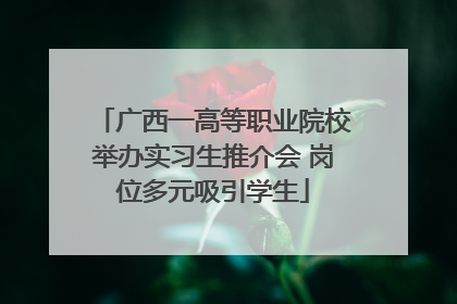 广西一高等职业院校举办实习生推介会 岗位多元吸引学生