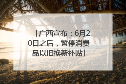 广西宣布：6月20日之后，暂停消费品以旧换新补贴